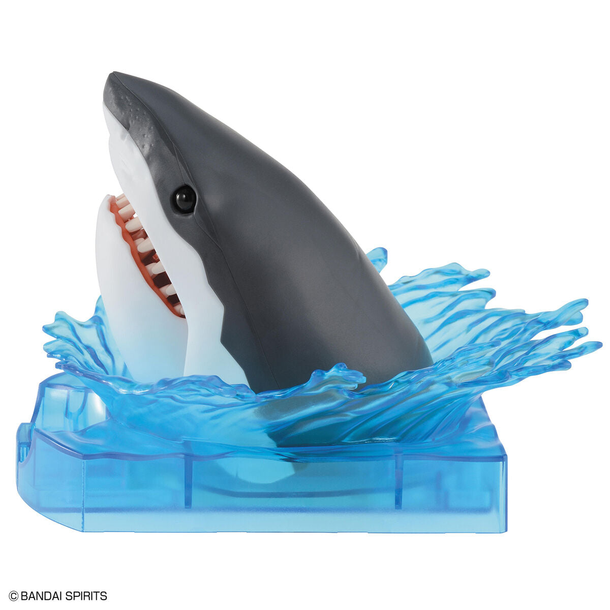 Exploring Lab Great White Shark