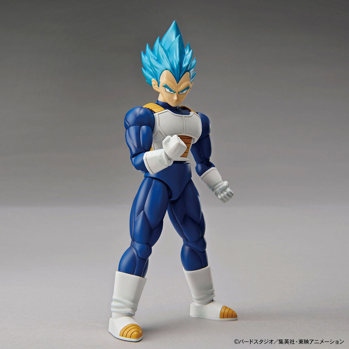 Dragon Ball Super - Super Saiyan God Super Saiyan Vegeta