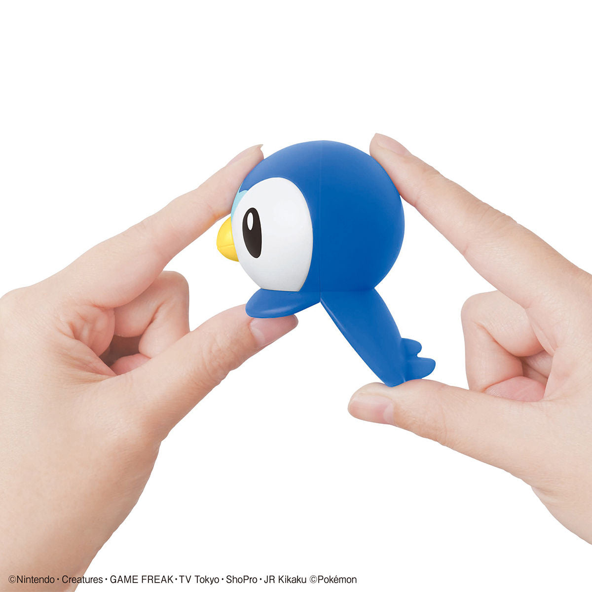 Pokémon Piplup