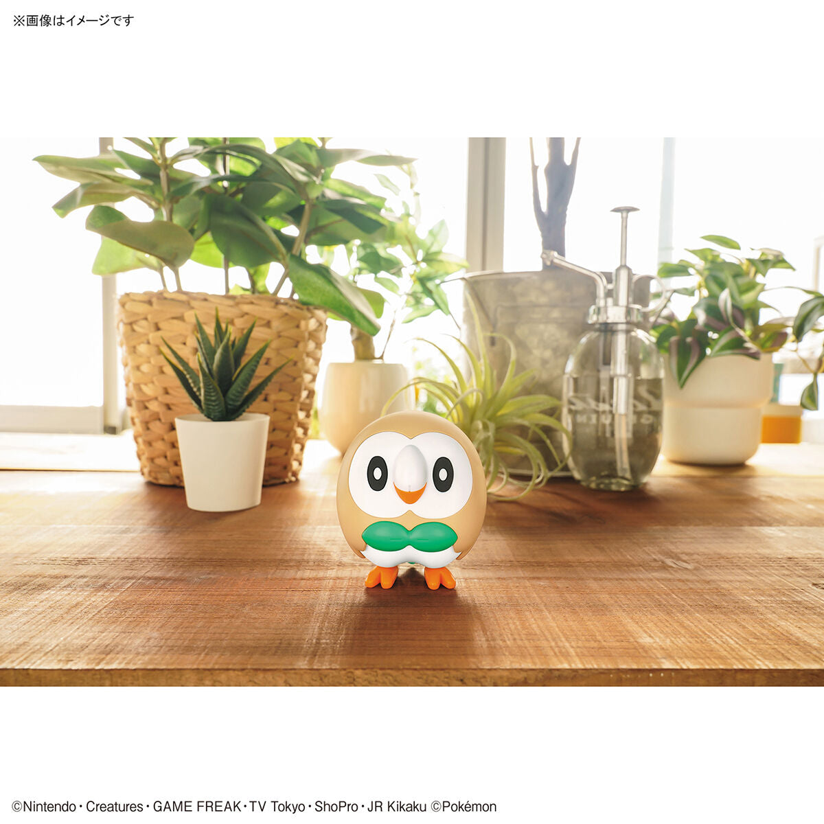 Pokémon Rowlet