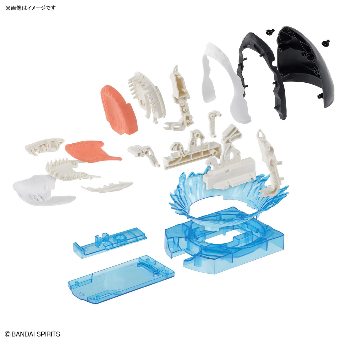 Exploring Lab Great White Shark