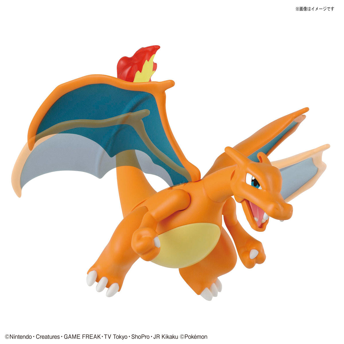 Pokémon Charizard (Battle Ver.) & Dragonite