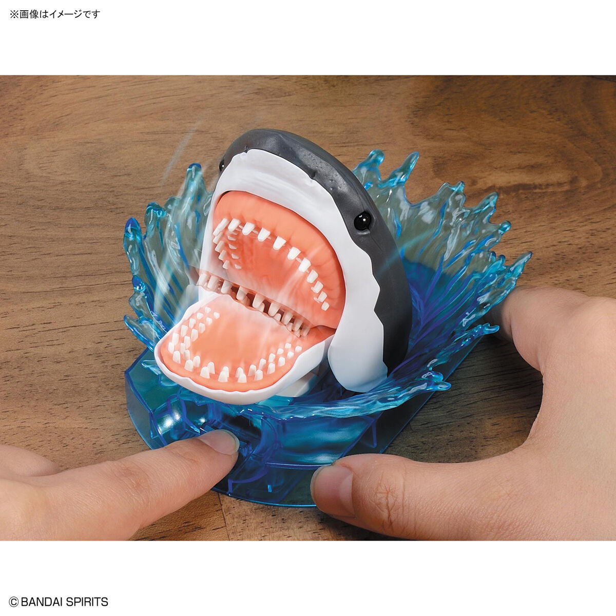Exploring Lab Great White Shark