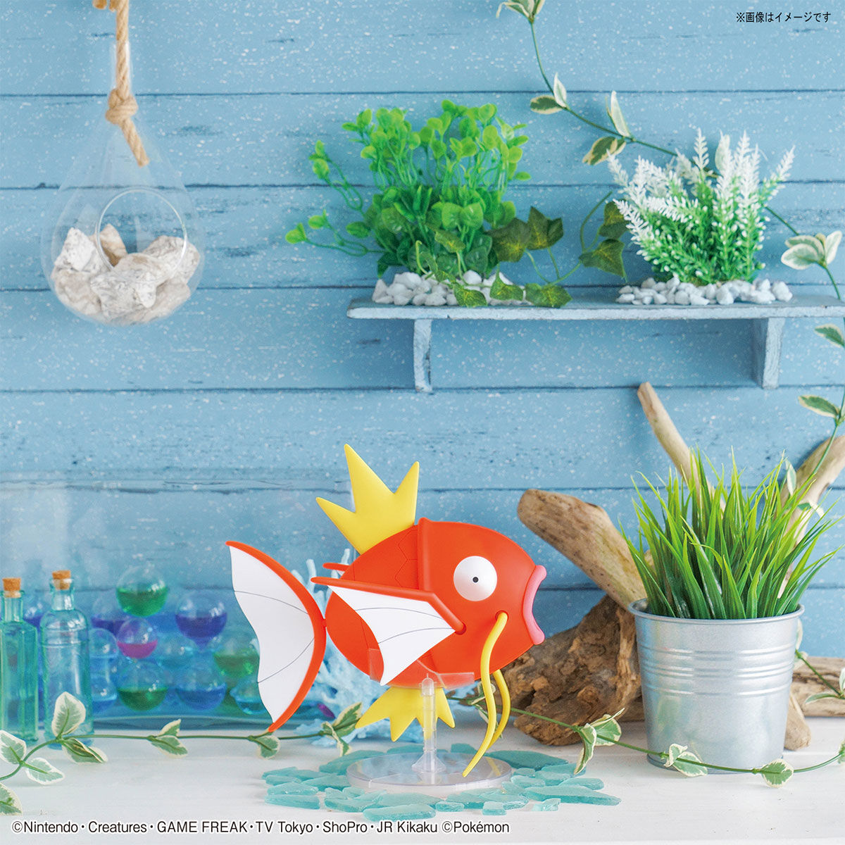Pokémon Margikarp