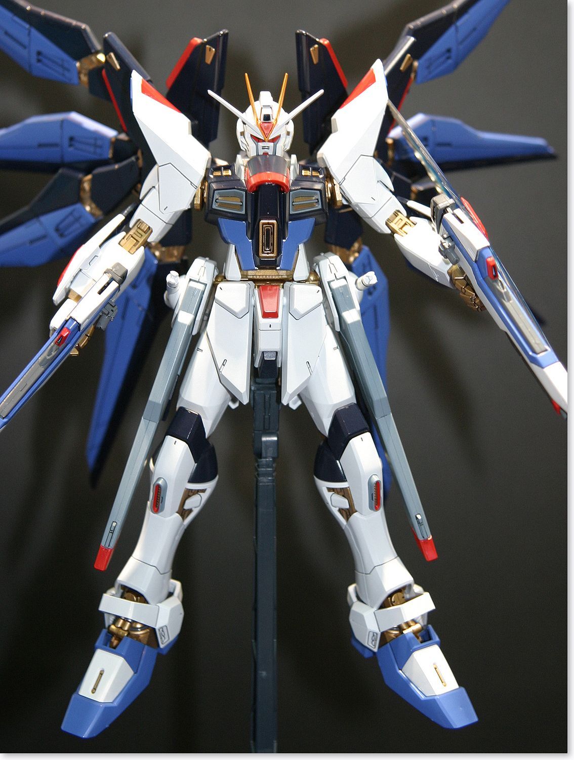 MG ZGMF-X20A Strike Freedom Gundam 1/100