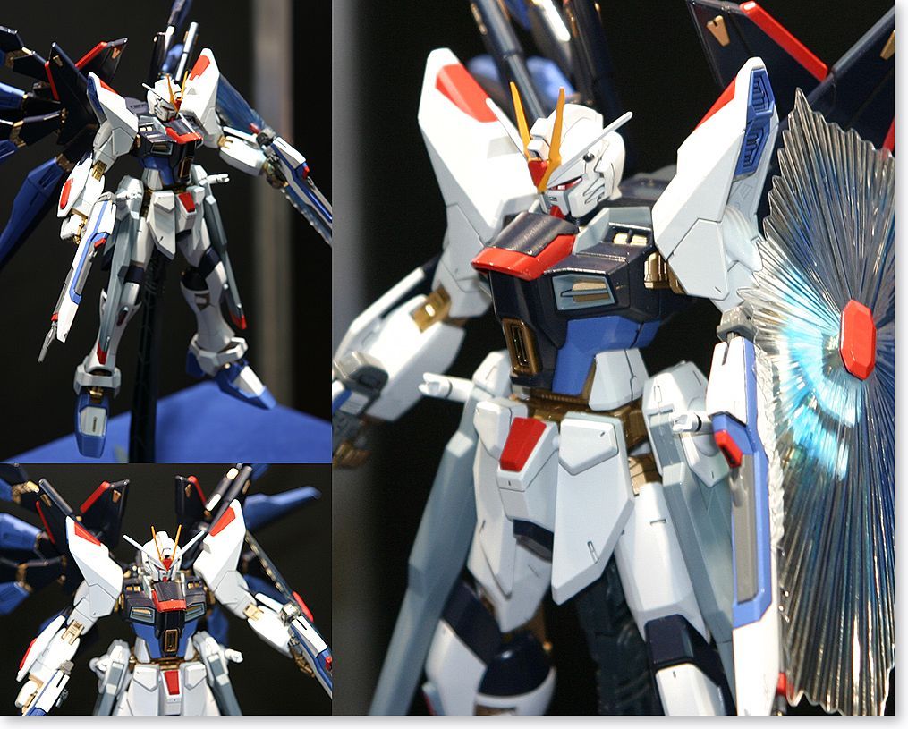 MG ZGMF-X20A Strike Freedom Gundam 1/100