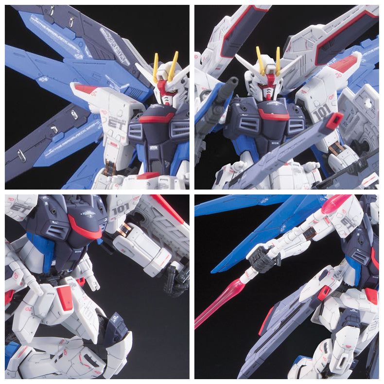 RG Freedom Gundam 1/144